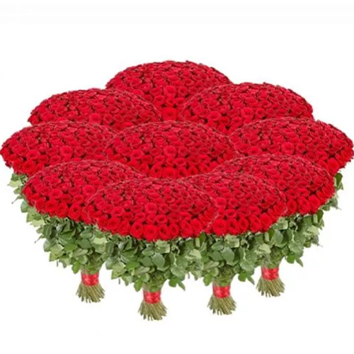 1001 Rose. Buy 1001 Rose in the online store Floristik