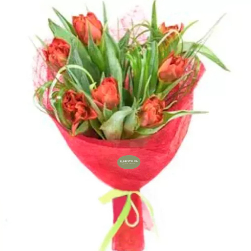 Spring. Buy Spring in the online store Floristik