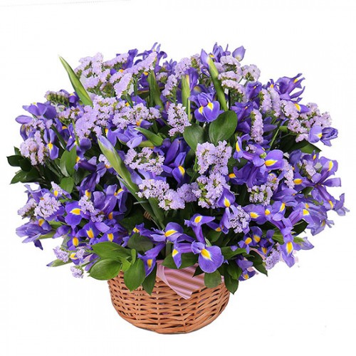 Cart irises. Buy Cart irises in the online store Floristik