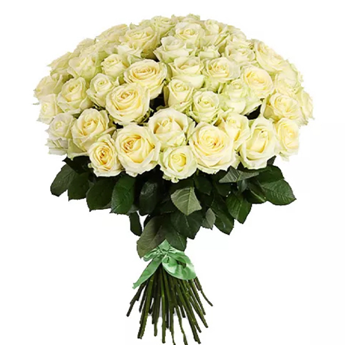 51 White Roses. Buy 51 White Roses in the online store Floristik