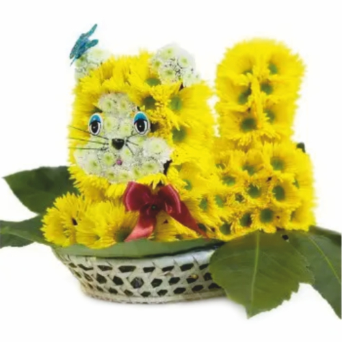Cat Basil ― Floristik — flower delivery all over Ukraine