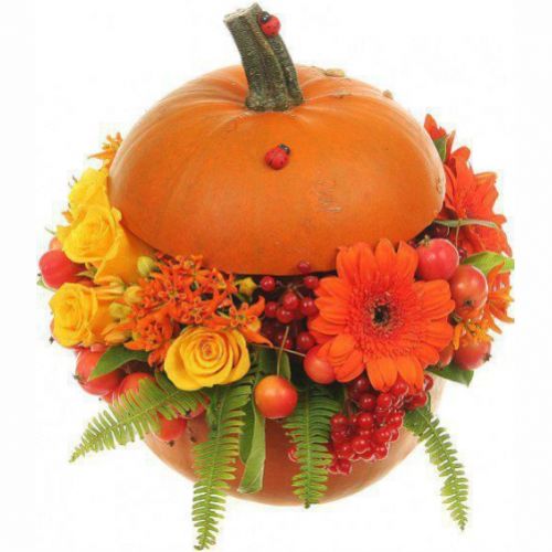 Pumpkin with Flowers ― Floristik — flower delivery all over Ukraine
