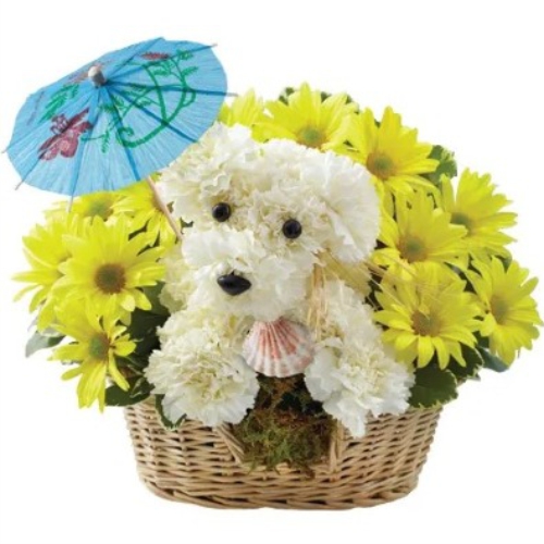 The dog with an umbrella ― Floristik — flower delivery all over Ukraine