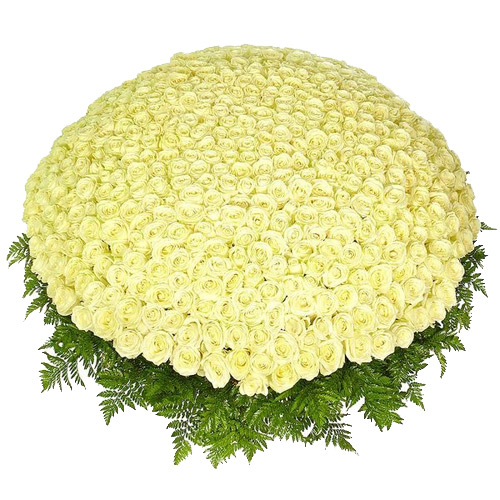 355 white roses basket ― Floristik — flower delivery all over Ukraine