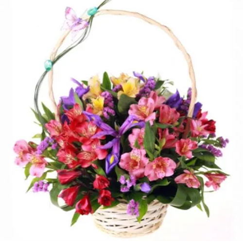 Shopping variegated colors ― Floristik — flower delivery all over Ukraine