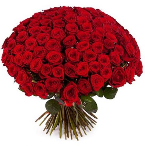 101 White and Red Roses. Buy 101 White and Red Roses in the online store Floristik