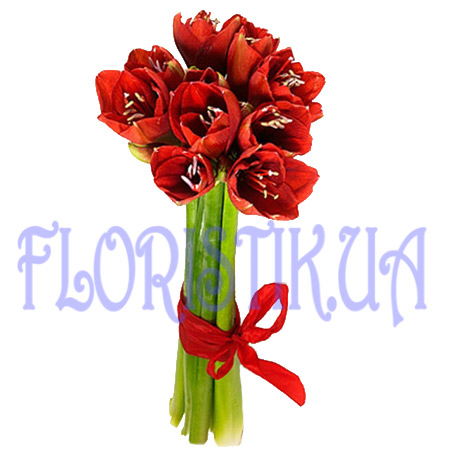 Bouquet amaryllis ― Floristik — flower delivery all over Ukraine