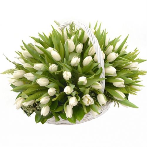Shopping Minnesola ― Floristik — flower delivery all over Ukraine