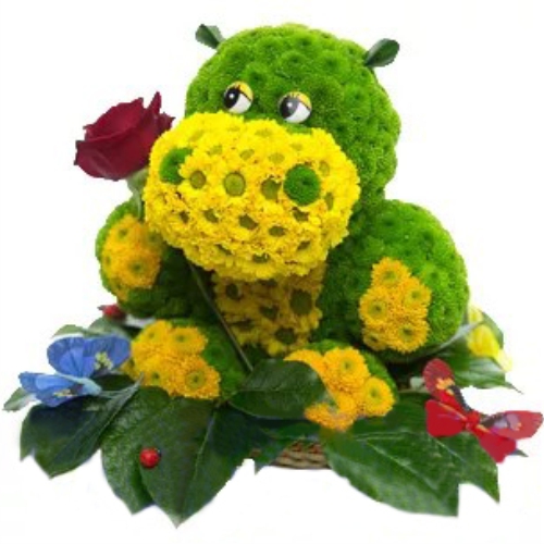 Hippopotamus ― Floristik — flower delivery all over Ukraine