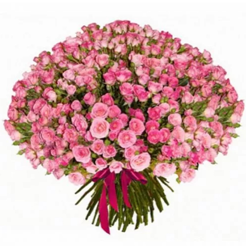 101 shrub rose. Buy 101 rose bush in the online store Floristik