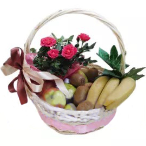Fruit basket with a rose bush. Buy fruit basket with a rose bush in the online store Floristik