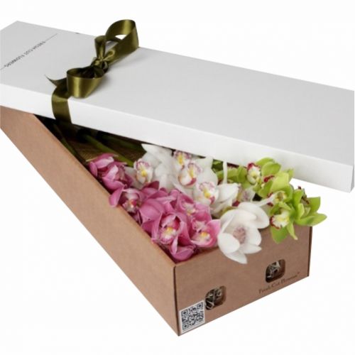 Box orchids. Buy a box of orchids in the online store Floristik