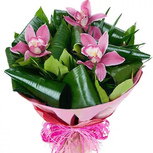 Bouquet of orchids ― Floristik — flower delivery all over Ukraine
