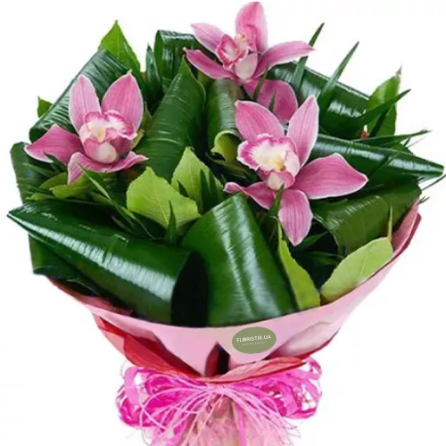 Bouquet of orchids ― Floristik — flower delivery all over Ukraine