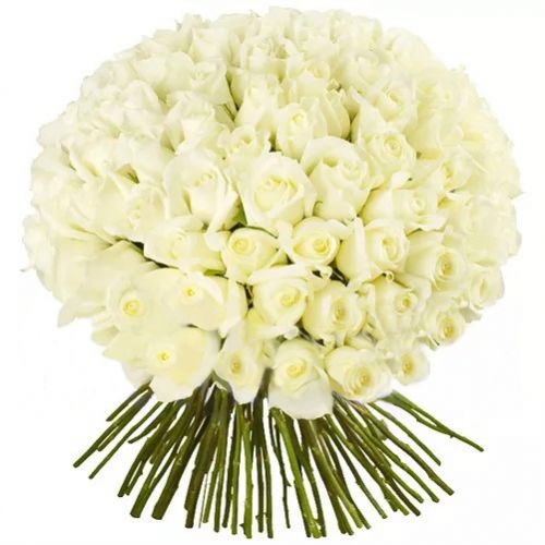 Bouquet of 75 dutch roses ― Floristik — flower delivery all over Ukraine