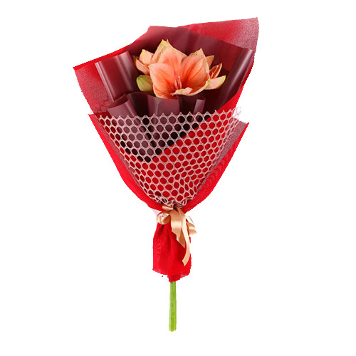 Bouquet amaryllis  ― Floristik — flower delivery all over Ukraine