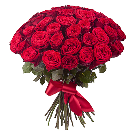 51 Red Rose ― Floristik — flower delivery all over Ukraine