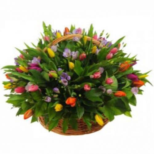 Basket of tulips and freesias ― Floristik — flower delivery all over Ukraine