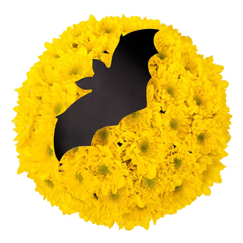 Bouquet the Bat ― Floristik — flower delivery all over Ukraine