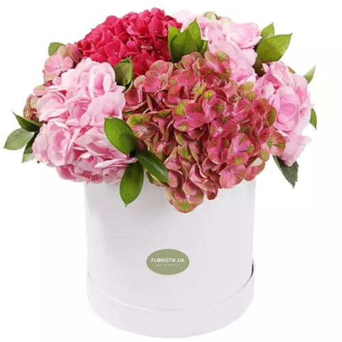 Box Velvet Hydrangeas ― Floristik — flower delivery all over Ukraine