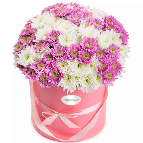 Flowers in a box delicate chrysanthemums ― Floristik — flower delivery all over Ukraine