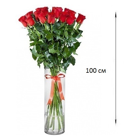 Rose Ecuador 1 meter ― Floristik — flower delivery all over Ukraine