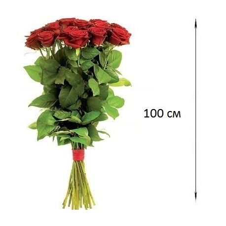Ukrainian rose 90-100cm ― Floristik — flower delivery all over Ukraine