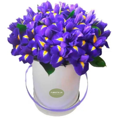 Irises in a box ― Floristik — flower delivery all over Ukraine