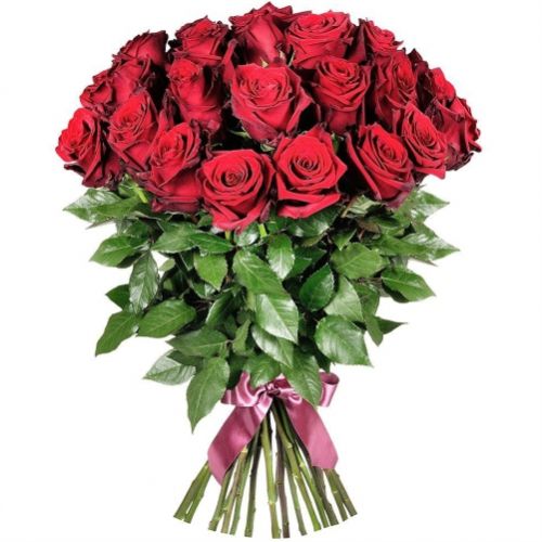 25 roses Freedom ― Floristik — flower delivery all over Ukraine