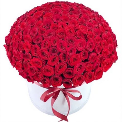 Box of 101 red roses ― Floristik — flower delivery all over Ukraine