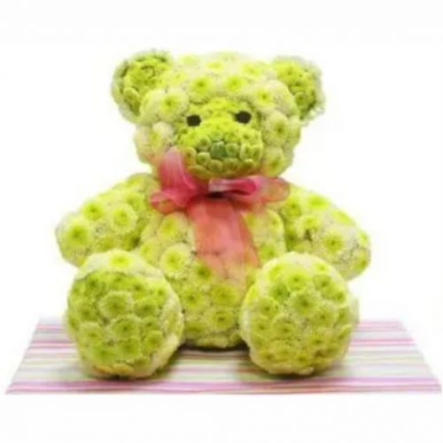 Teddy bear. Buy Teddy bear in the online store Floristik