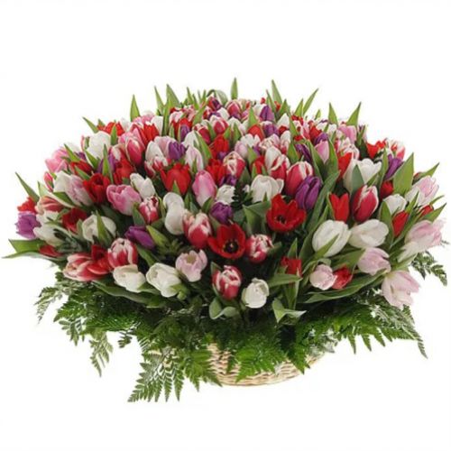 Basket of tenderness. Buy Basket of tenderness in the online store Floristik