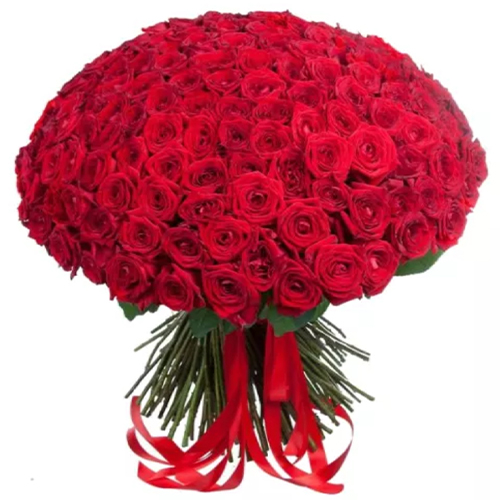 149 red roses. Buy 149 red roses in the online store Floristik