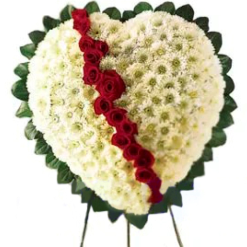 Heart of chrysanthemums. Buy Heart of chrysanthemums in the online store Floristik