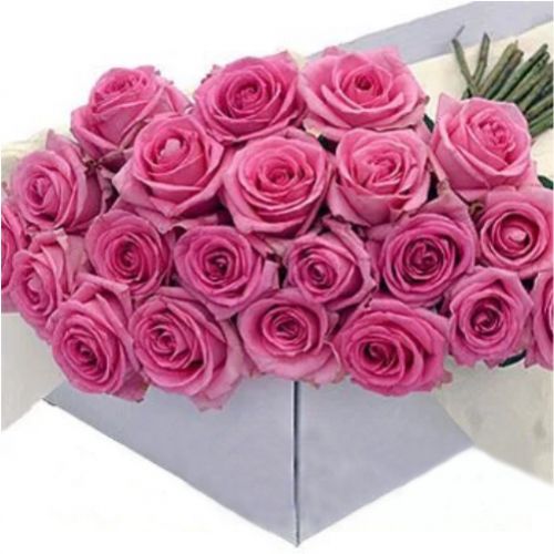 19 pink roses. Buy 19 pink roses in the online store Floristik