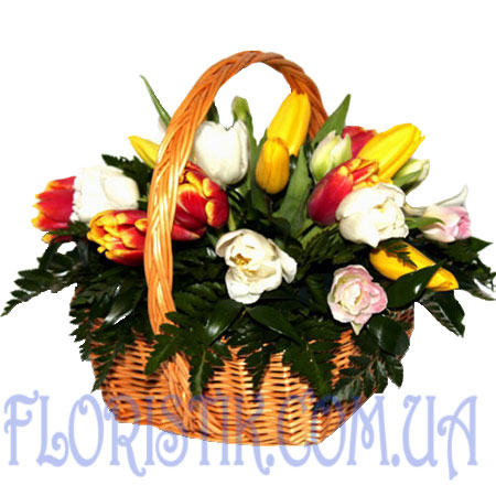 Basket of tulips. Buy Basket of tulips in the online store Floristik